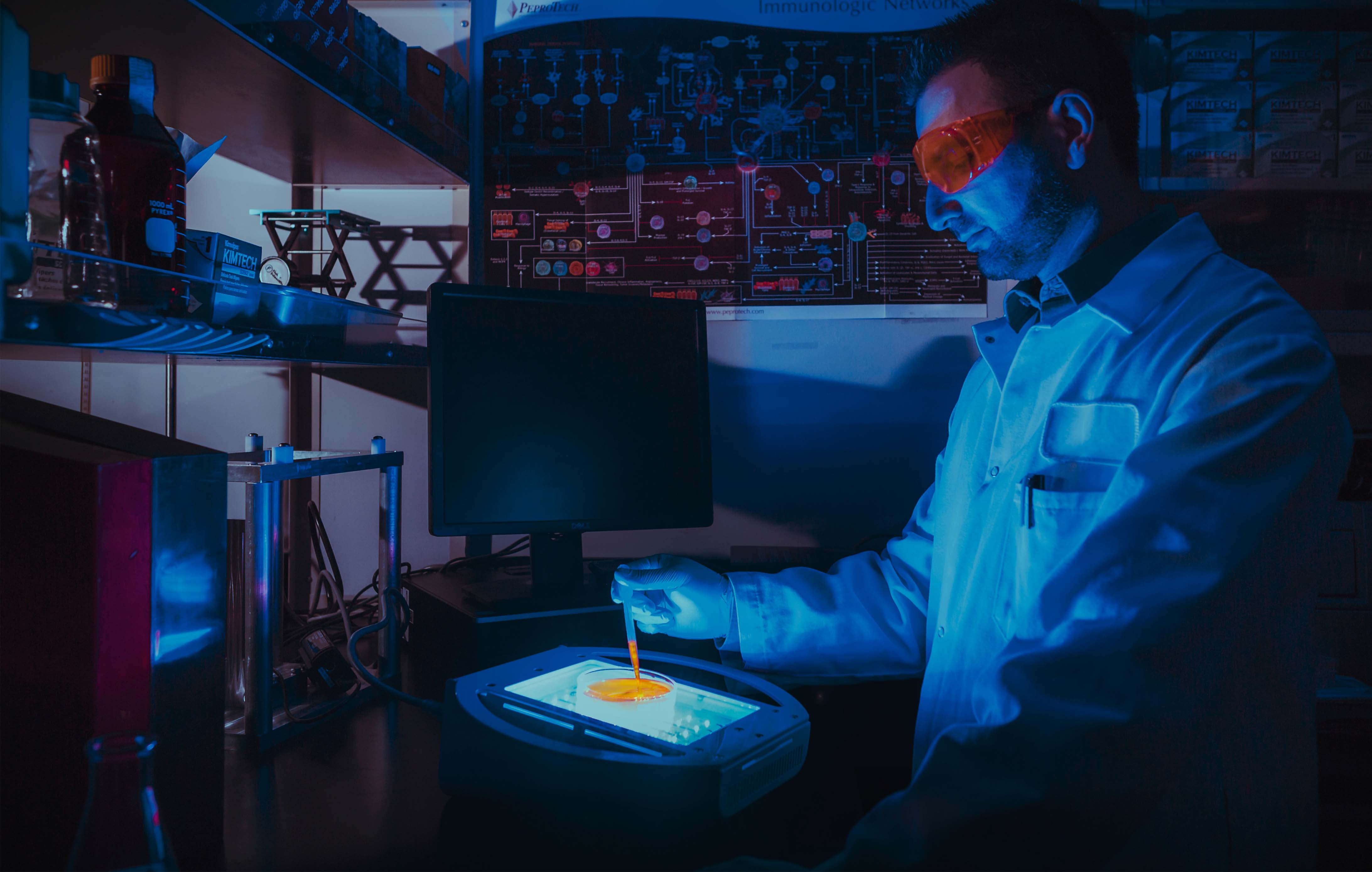 KLOX Has Launched Chinese-Europe Scholars Program